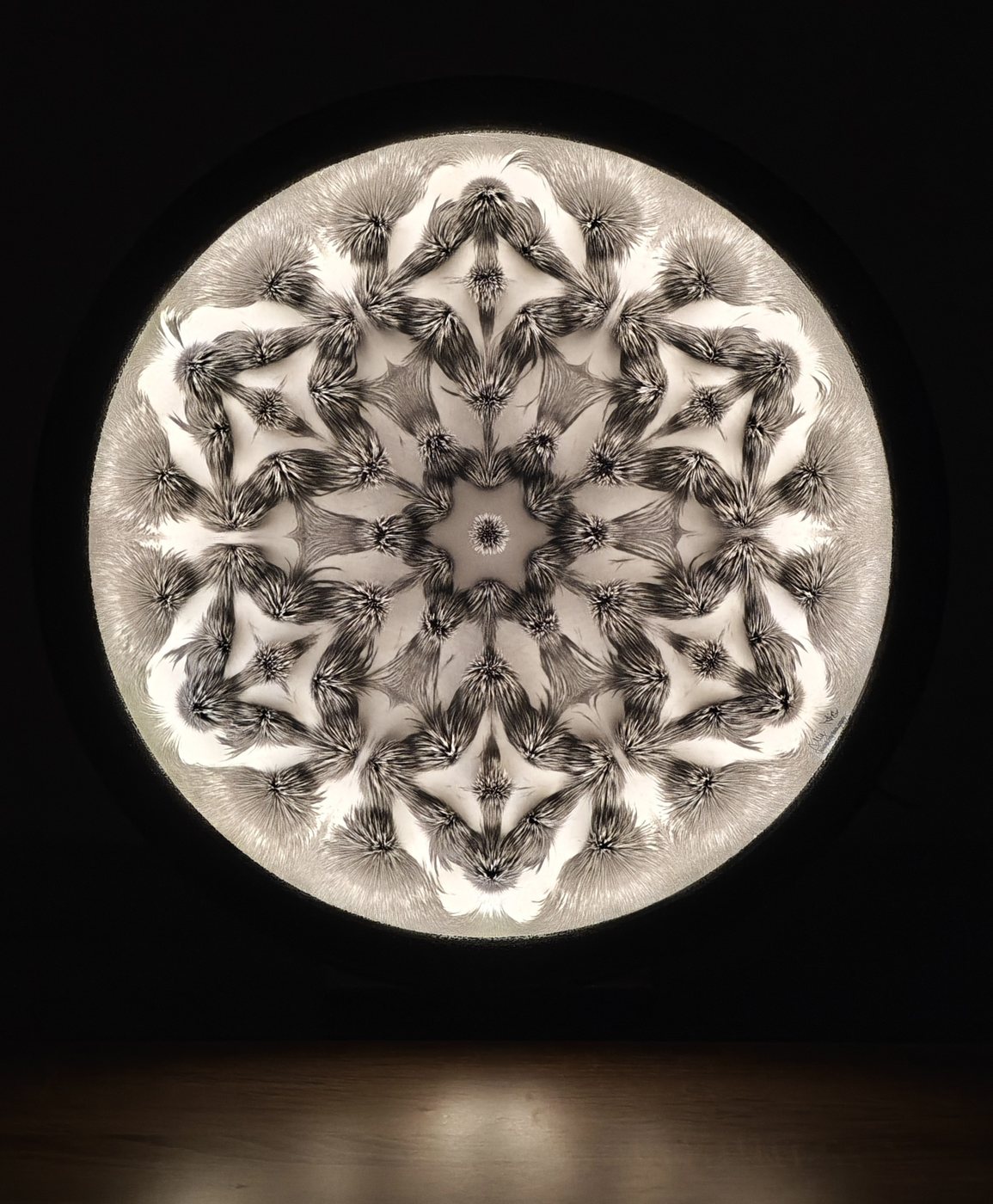 LED illuminated magnetic field mandala glowing on a dark wall