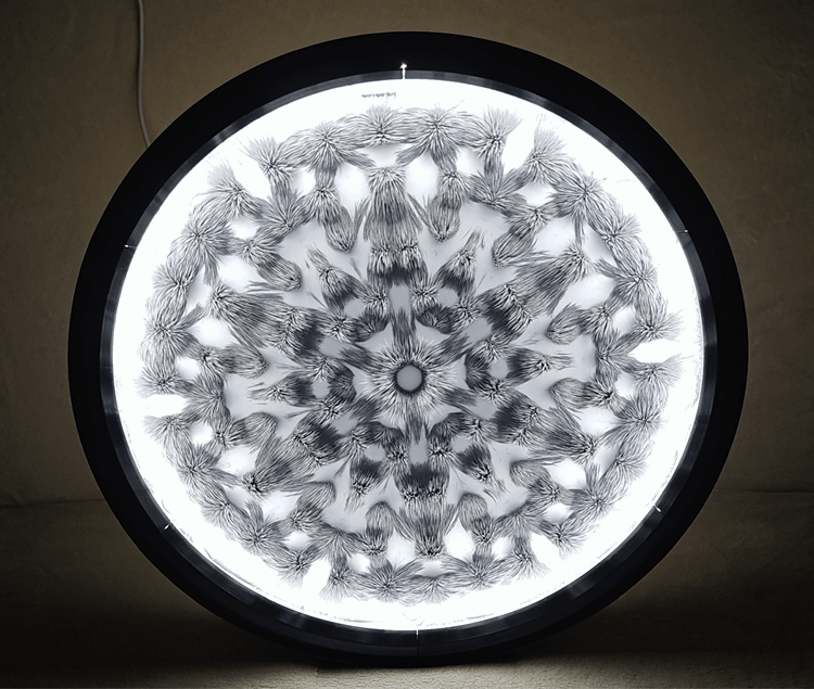 Light-enhanced magnetic field mandala